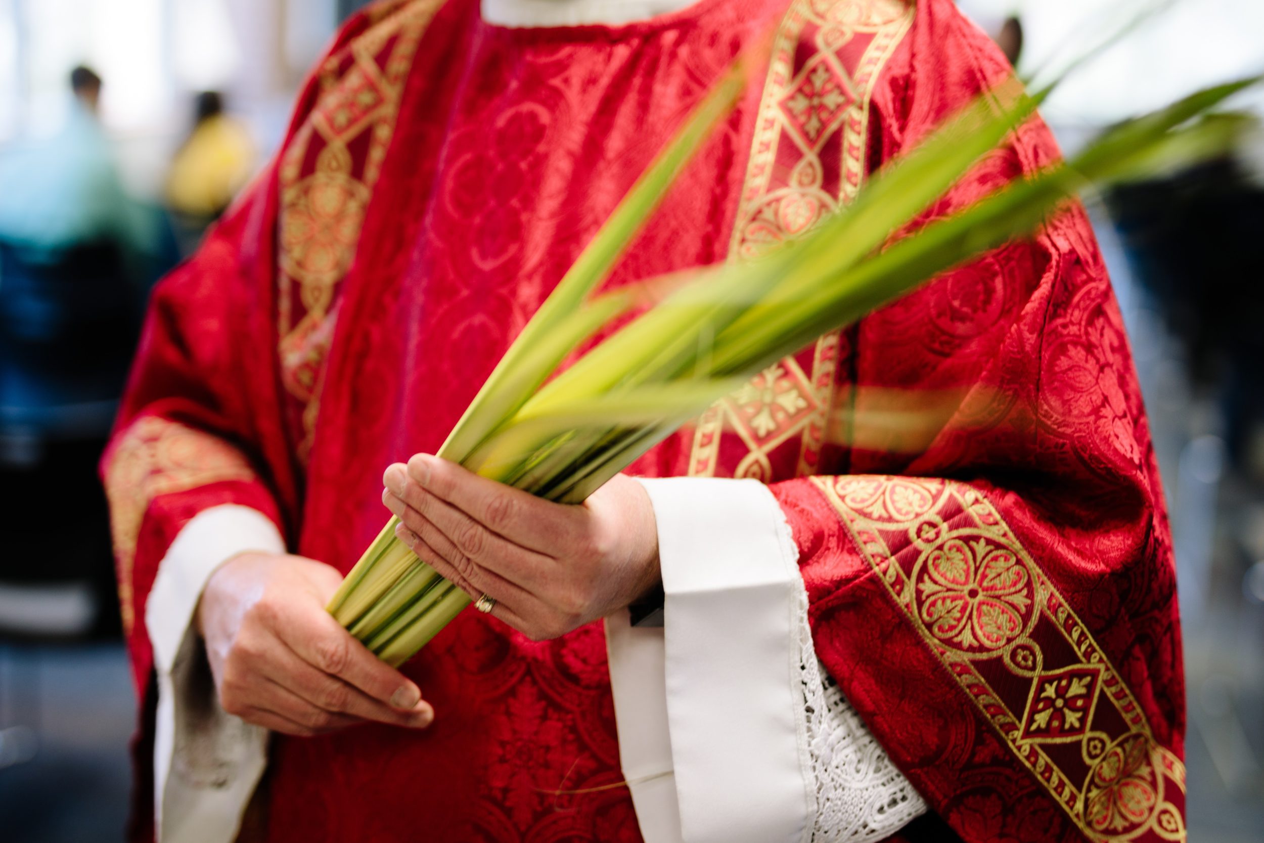 LA FÊTE DES RAMEAUX NOUS RELIE A LA BIBLE HÉBRAÏQUE ! Eglise