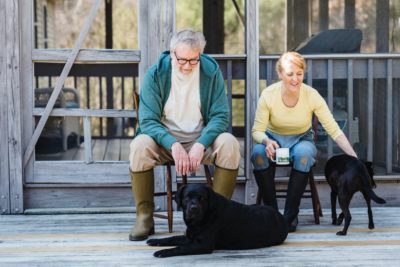 bénir les animaux de compagnie